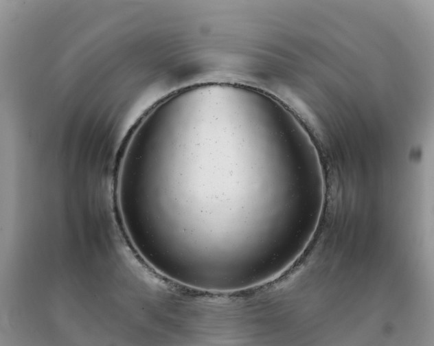 X0000092060896200709191139