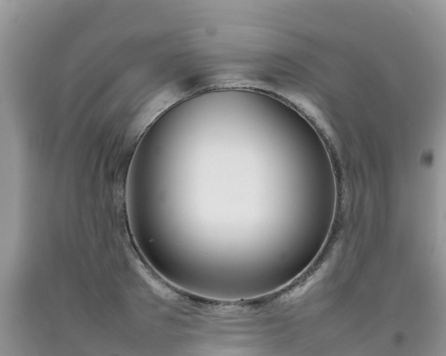 X0000092060897200709191139