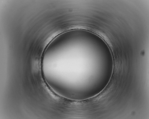 X0000092060898200709191139