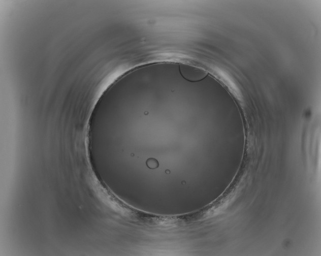 X0000092060899200709191139