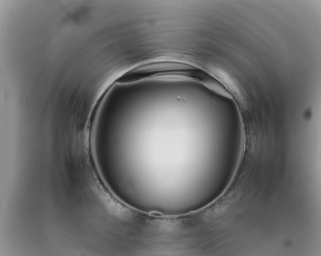 X0000092060900200709191139