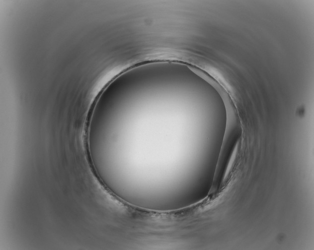 X0000092060901200709191139