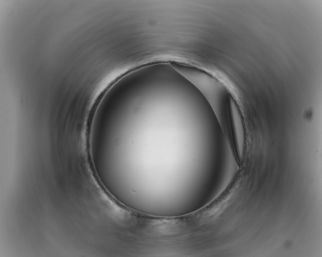 X0000092060902200709191139