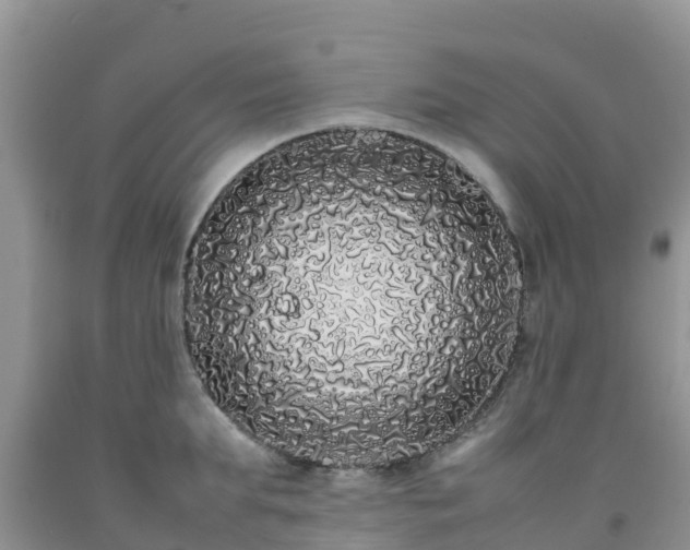 X0000092060903200709191139