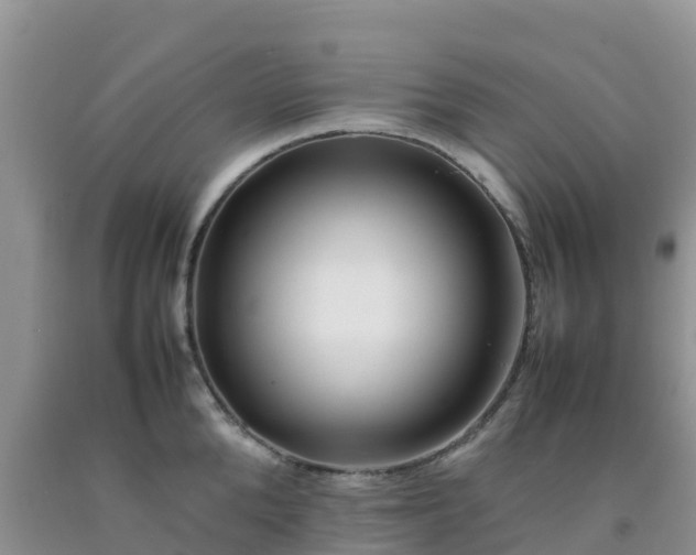 X0000092060904200709191139