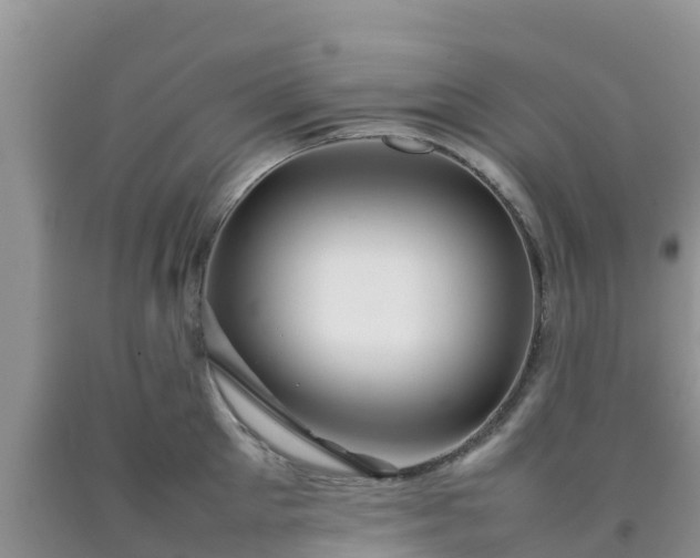 X0000092060905200709191139