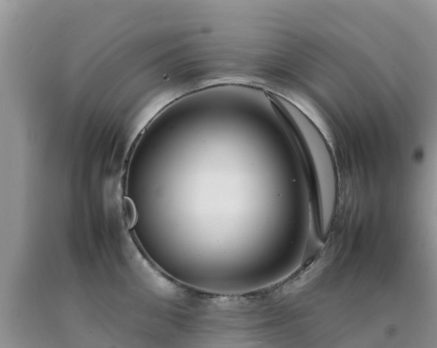 X0000092060906200709191139