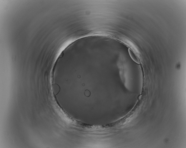 X0000092060907200709191139