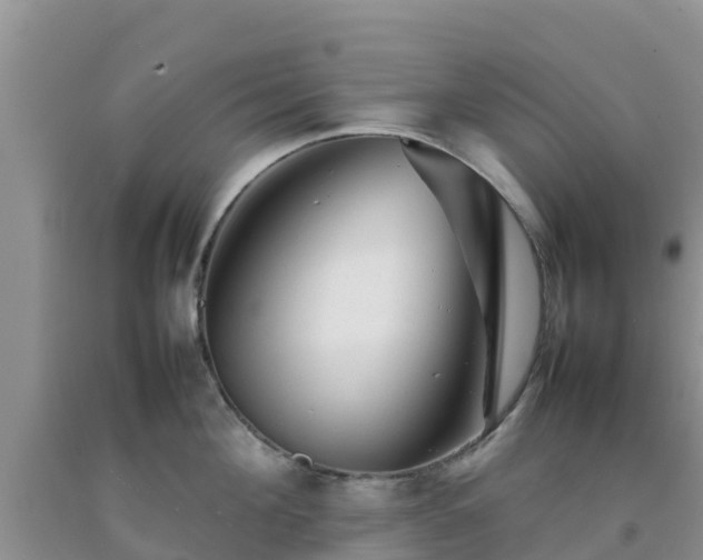 X0000092060908200709191139