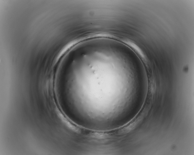 X0000092060910200709191139