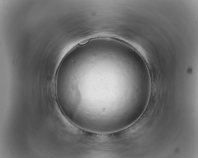 X0000092060911200709191139