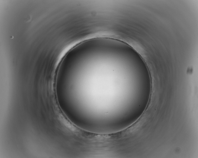 X0000092060912200709191139