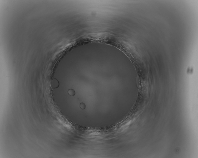 X0000092060913200709191138