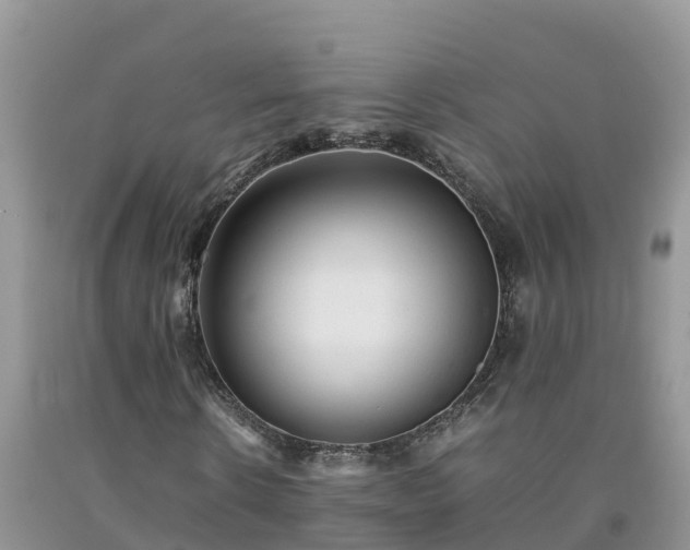 X0000092060914200709191138