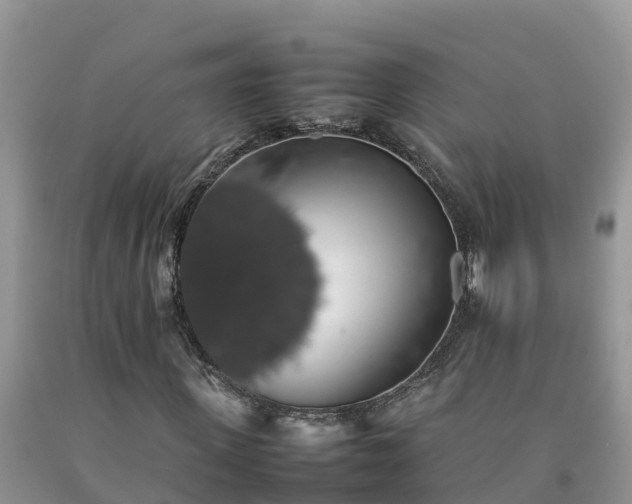 X0000092060915200709191138