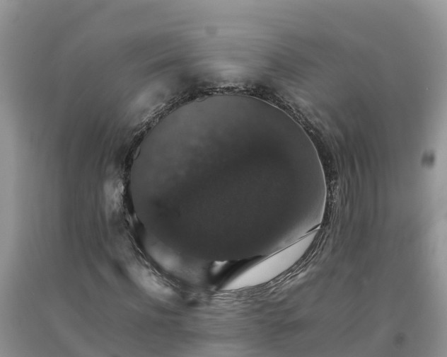 X0000092060916200709191138