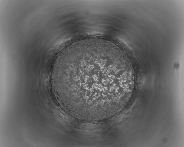 X0000092060917200709191138