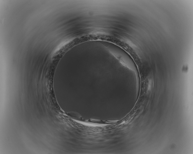 X0000092060919200709191138