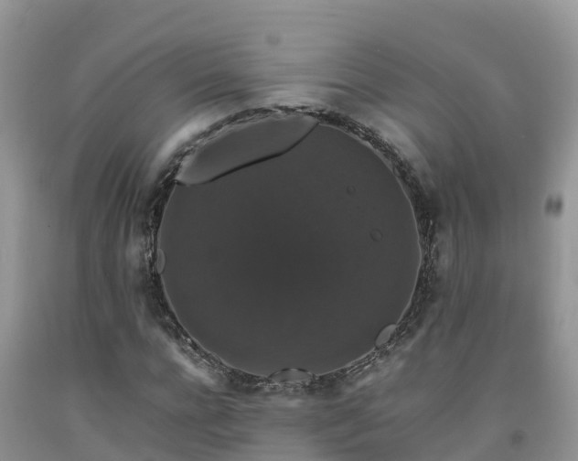 X0000092060920200709191138