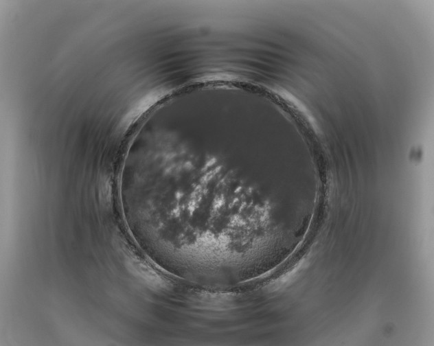 X0000092060921200709191138