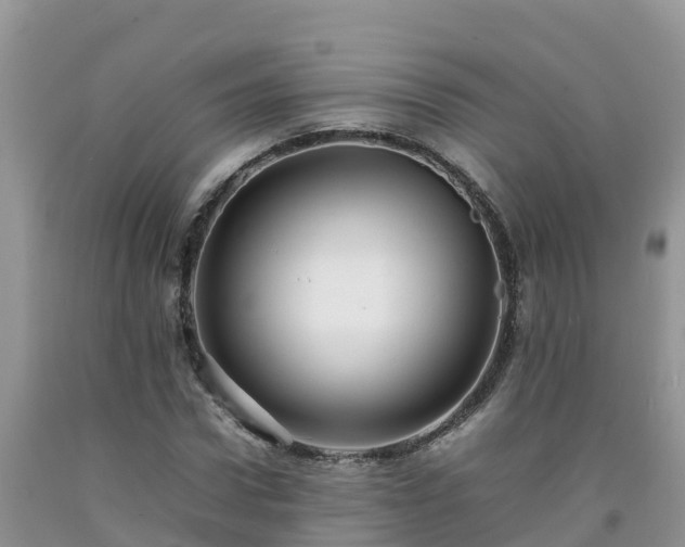 X0000092060922200709191138