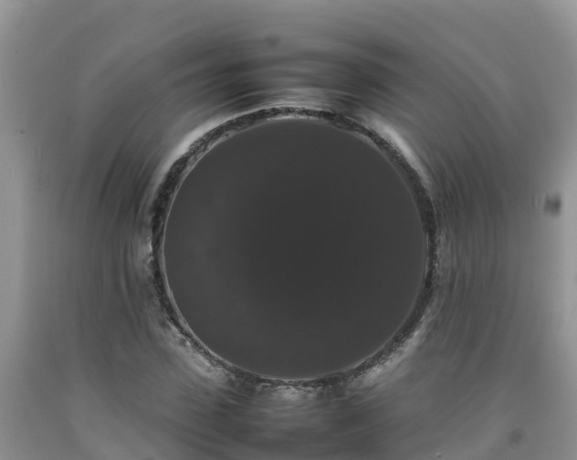 X0000092060923200709191138