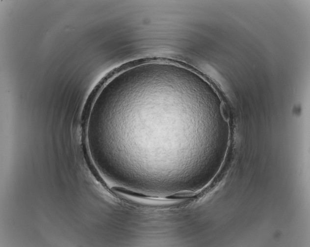 X0000092060924200709191138