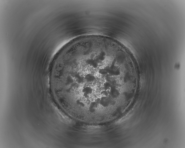 X0000092060925200709191138