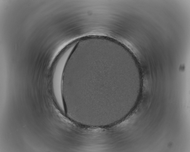 X0000092060926200709191138