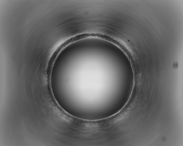 X0000092060927200709191138