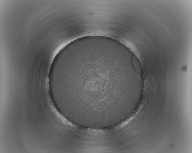 X0000092060928200709191138