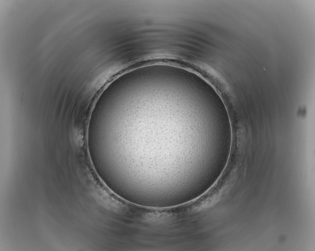 X0000092060929200709191138