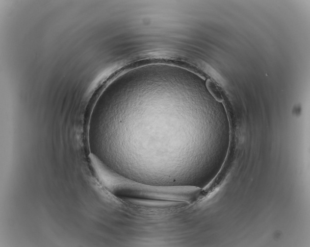 X0000092060930200709191138