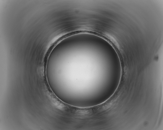 X0000092060931200709191138