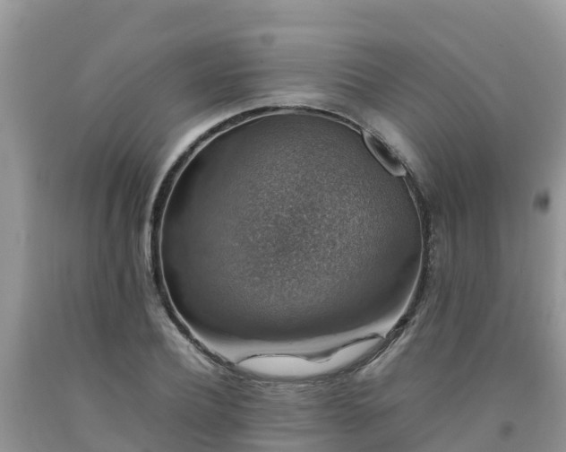 X0000092060932200709191138