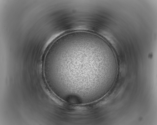 X0000092060933200709191138