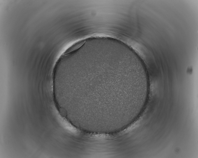 X0000092060934200709191138