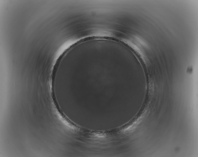 X0000092060935200709191138