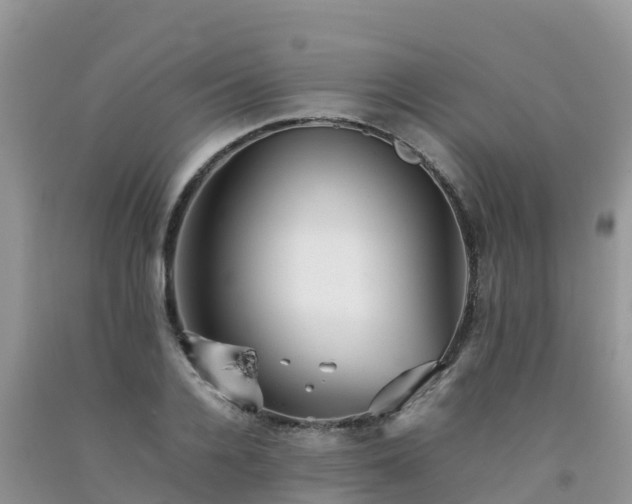 X0000092060936200709191138