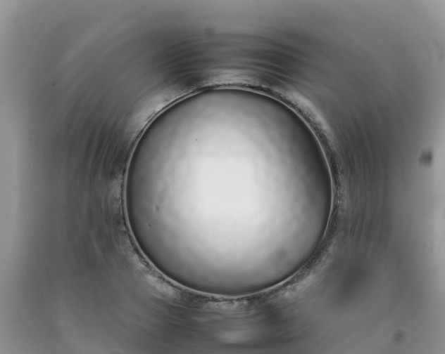 X0000092060937200709191138