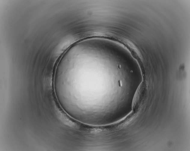 X0000092060938200709191138