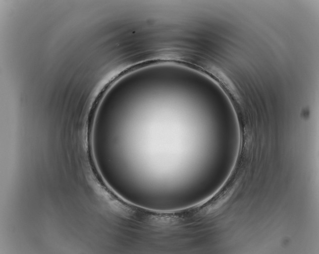 X0000092060939200709191138