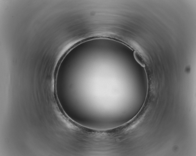 X0000092060940200709191138