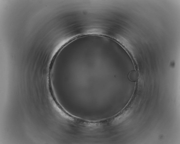 X0000092060941200709191138