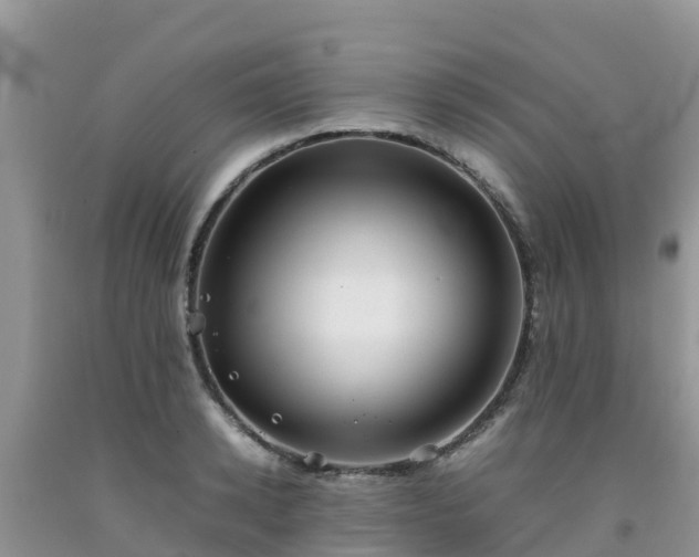 X0000092060942200709191138