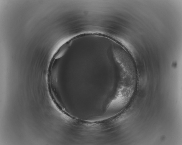 X0000092060943200709191138