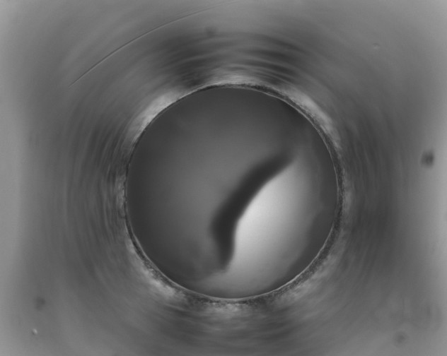 X0000092060945200709191138