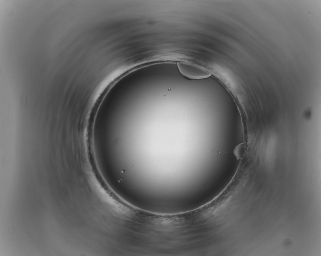 X0000092060947200709191139