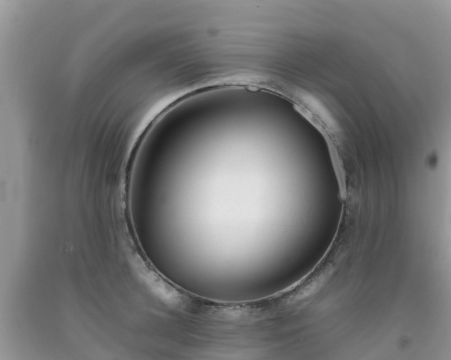 X0000092060948200709191139