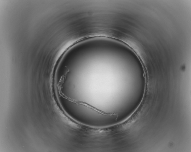 X0000092060949200709191139